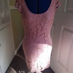 American Eagle Dusty Rose Lace Minidress